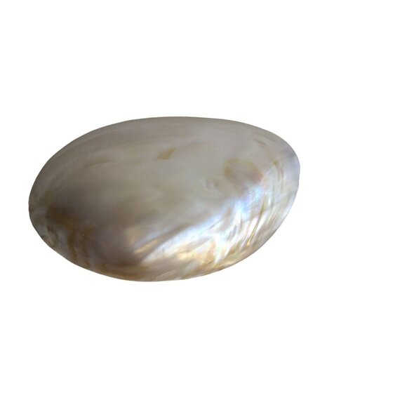 Vintage Charmant Iridescent Shell Buckle and Stretch Belt - Picture 4 of 7